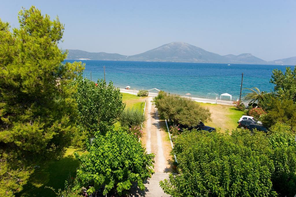 Apartments Skardoutsou Agiokampos  Dış mekan fotoğraf