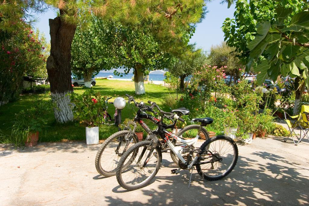 Apartments Skardoutsou Agiokampos  Dış mekan fotoğraf