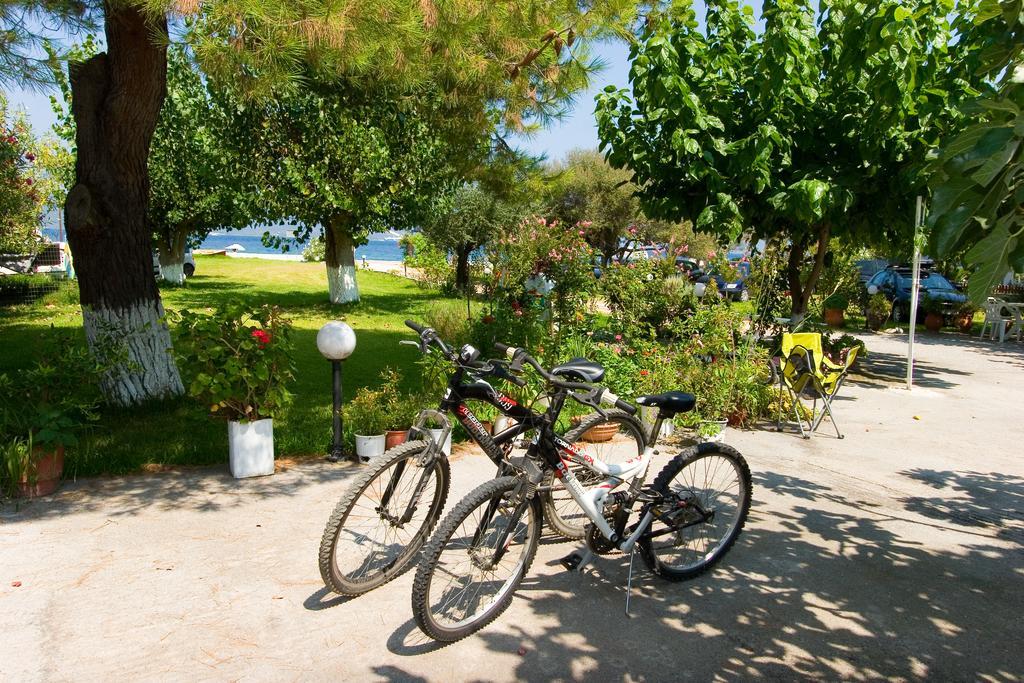 Apartments Skardoutsou Agiokampos  Dış mekan fotoğraf